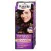 Palette Intensive Color Creme tartós hajfesték 3-68 sötét mahagóni termékhez kapcsolódó kép