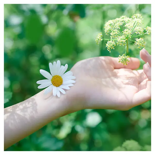 Naturella Classic Normal Plus Méret 2 Szárnyas Betét 10 db termékhez kapcsolódó kép