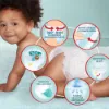 Pampers Premium Care Bugyipelenka, Méret: 6, 31 db Bugyipelenka, 15kg+ termékhez kapcsolódó kép