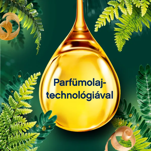 Lenor Textilöblítő 48 mosáshoz Cedar Wood & Pine Tree termékhez kapcsolódó kép