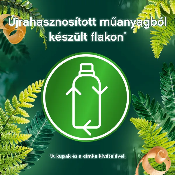 Lenor Textilöblítő 48 mosáshoz Cedar Wood & Pine Tree termékhez kapcsolódó kép