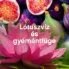 Lenor Textilöblítő 48 mosáshoz Lotus Water & Diamond Figs termékhez kapcsolódó kép