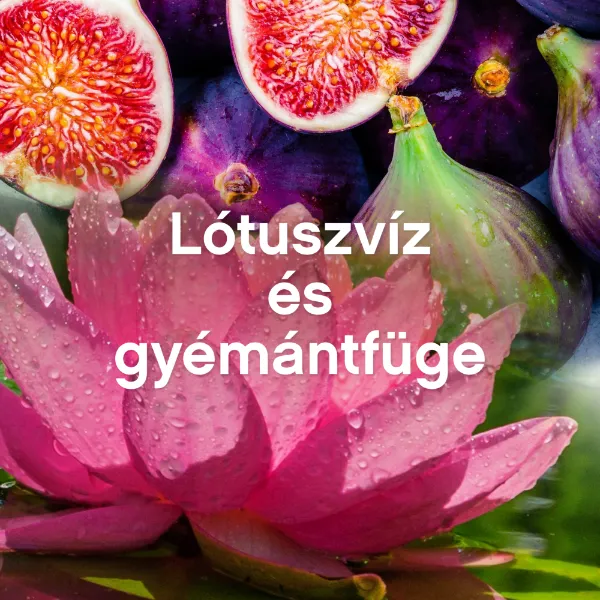 Lenor Textilöblítő 48 mosáshoz Lotus Water & Diamond Figs termékhez kapcsolódó kép