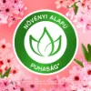 Lenor Textilöblítő 48 mosáshoz Cherry Blossom & Sage termékhez kapcsolódó kép