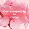 Lenor Textilöblítő 48 mosáshoz Cherry Blossom & Sage termékhez kapcsolódó kép