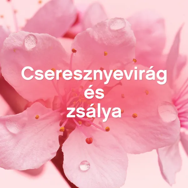 Lenor Textilöblítő 48 mosáshoz Cherry Blossom & Sage termékhez kapcsolódó kép