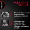 Syoss Colorist balzsam festett hajra 440 ml termékhez kapcsolódó kép