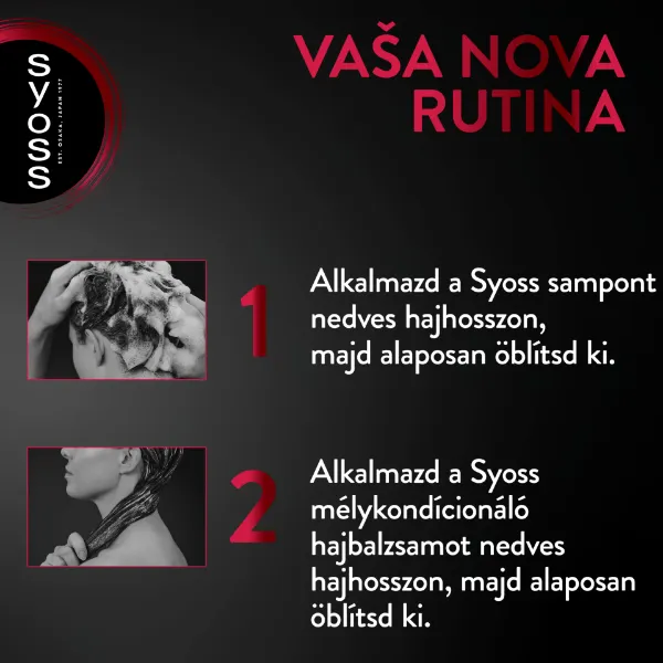 Syoss Colorist balzsam festett hajra 440 ml termékhez kapcsolódó kép