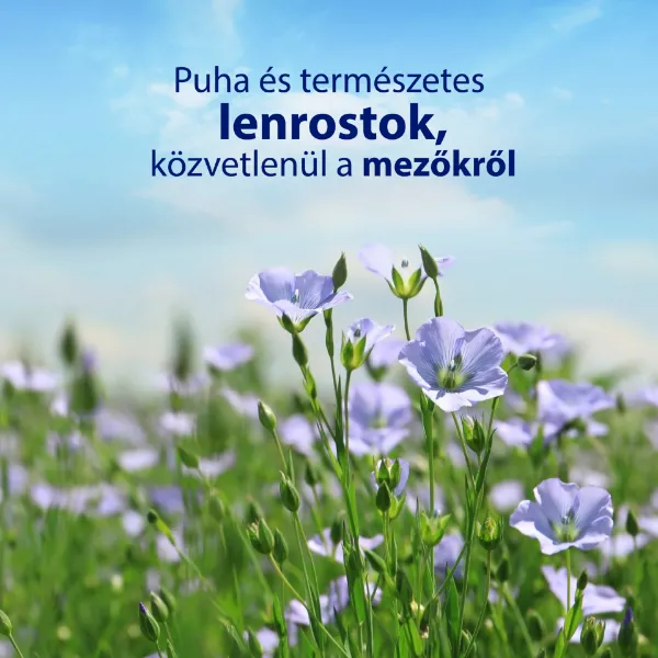 Zewa Almond Milk nedves toalettpapír 42 db termékhez kapcsolódó kép