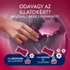 Lenor Parfümgyöngyök 195gRuby Jasmine termékhez kapcsolódó kép
