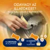 Lenor Parfümgyöngyök 195gGold Orchid & Vanilla termékhez kapcsolódó kép