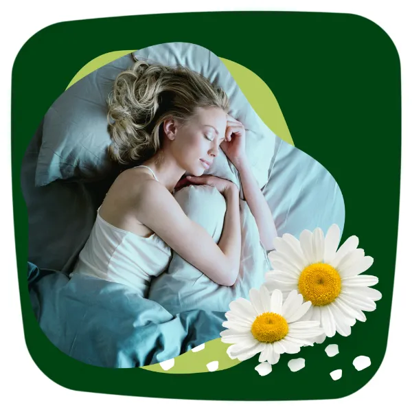 Naturella Classic Night Camomile Egészségügyi Betét szárnyas betét x7 termékhez kapcsolódó kép