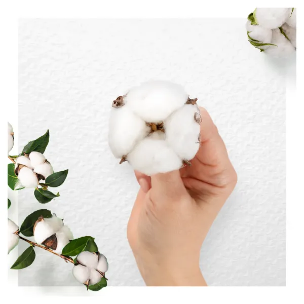 Always Cotton Protection Ultra Normal Szárnyas egészségügyi betét, 11 db termékhez kapcsolódó kép