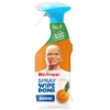Mr Proper Spray Wipe Done Szórófejes Zsírtalanító Tisztítószer Peps Mandarin 800 ml termékhez kapcsolódó kép