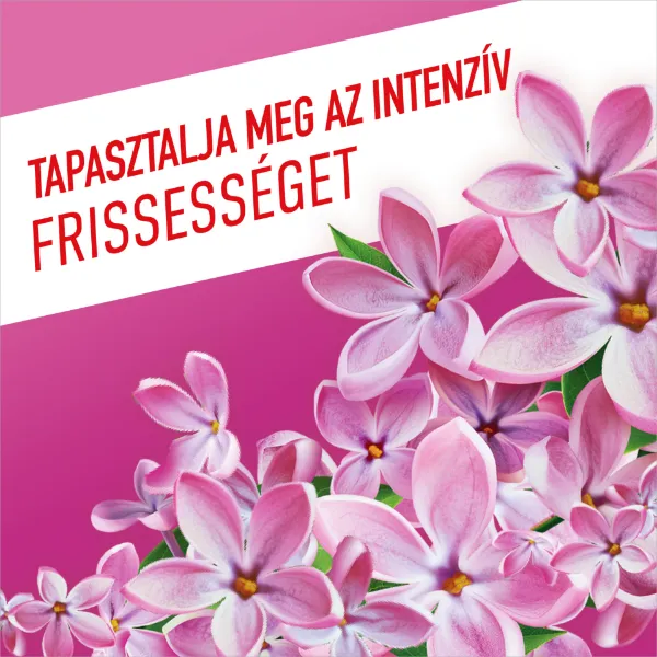 Ajax Floral Fiesta Lilac Breeze háztartási tisztítószer 1 l termékhez kapcsolódó kép