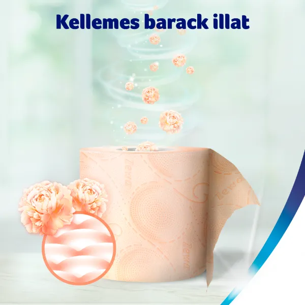 Zewa Deluxe Cashmere Peach toalettpapír 3 rétegű 8 tekercs termékhez kapcsolódó kép