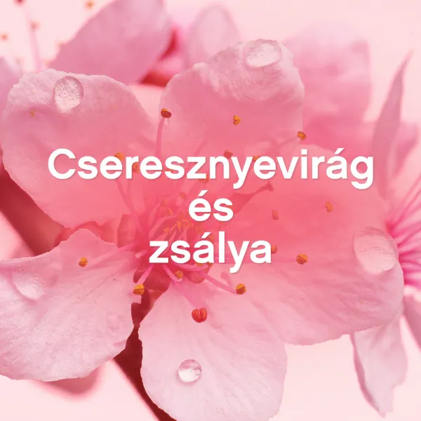 Lenor Textilöblítő 48 mosáshoz Cherry Blossom & Sage termékhez kapcsolódó kép