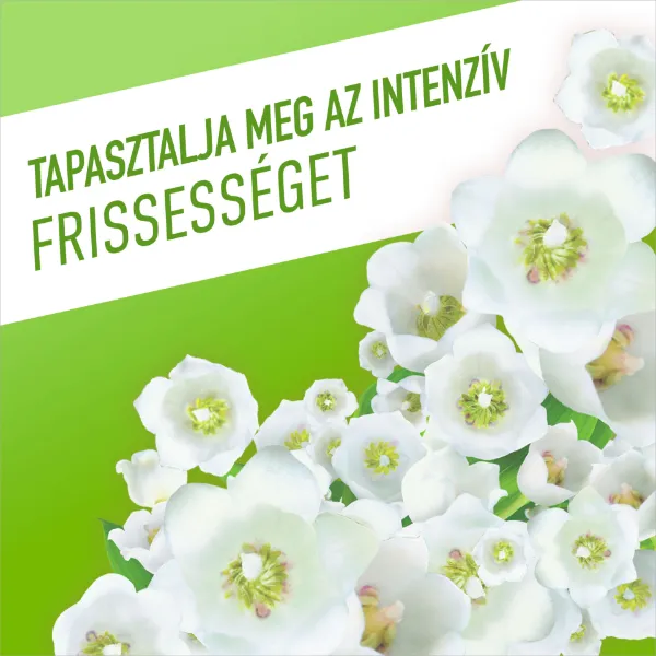 Ajax Floral Fiesta Spring Flowers háztartási tisztítószer 1 l termékhez kapcsolódó kép