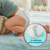 Pampers Premium Care Bugyipelenka - havi pelenkacsomag, Méret: 7, 80 db, 15kg+ termékhez kapcsolódó kép