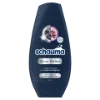 Schwarzkopf Schauma Hamvas Csillogás hajbalzsam 250 ml termékhez kapcsolódó kép