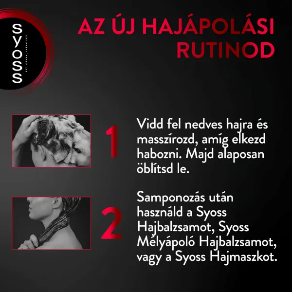 Syoss Colorist sampon festett hajra 440 ml termékhez kapcsolódó kép