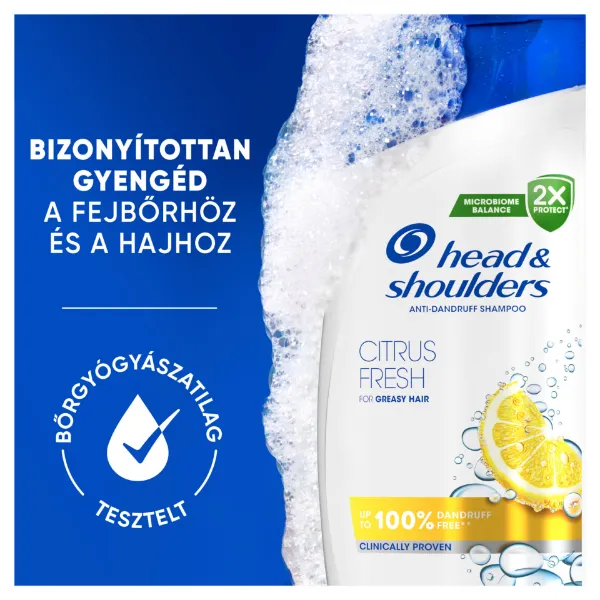 H&S sampon Citrus 800ml termékhez kapcsolódó kép