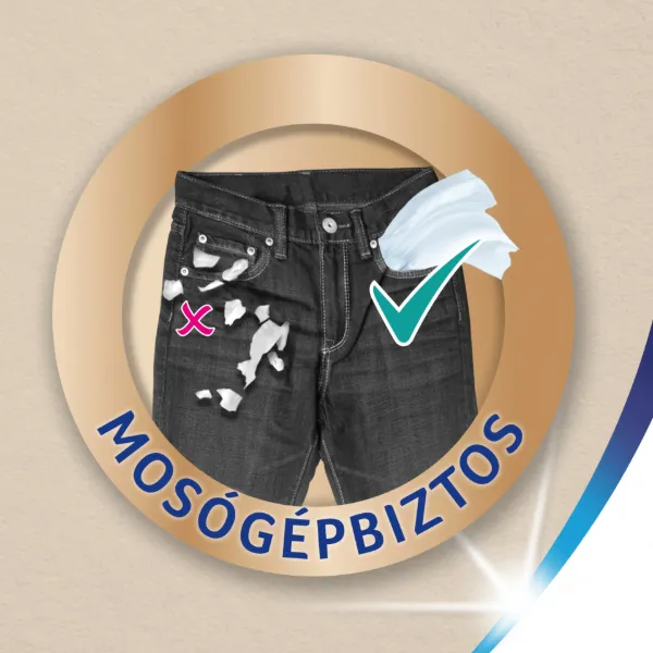 Zewa Softis Natural Soft papír zsebkendő 4 rétegű 10 x 9 db termékhez kapcsolódó kép