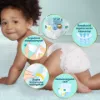 Pampers Premium Care - havi pelenkacsomag, Méret: 2, 224 Pelenka, 4kg-8kg termékhez kapcsolódó kép