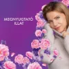 Lenor  Textilöblítő 59 Mosáshoz, Floral Bouquet termékhez kapcsolódó kép