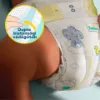 Pampers Premium Care, Méret: 4, 104 Pelenka, 9kg-14kg termékhez kapcsolódó kép