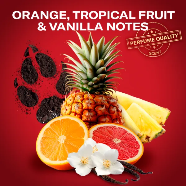 Old Spice Gamer Ajándékszett Wolfthorn Stift Dezodorral és Tusfürdővel termékhez kapcsolódó kép