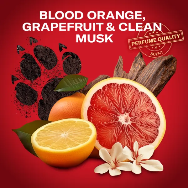 Old Spice Tiger Claw Deo Spray Férfiaknak, 150 ml termékhez kapcsolódó kép