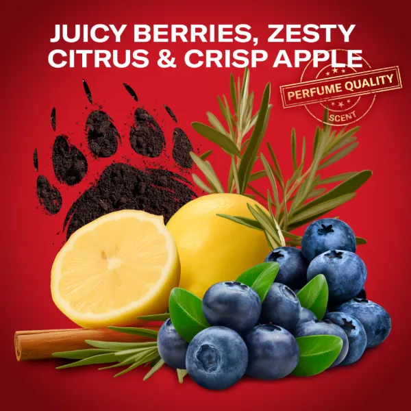 Old Spice Bearglove Deo Spray Férfiaknak, 150 ml termékhez kapcsolódó kép