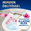 Bref Deluxe Delicate Magnolia WC frissítő 3 x 50 g termékhez kapcsolódó kép