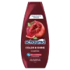 Schauma Color & Shine sampon 400 ml termékhez kapcsolódó kép