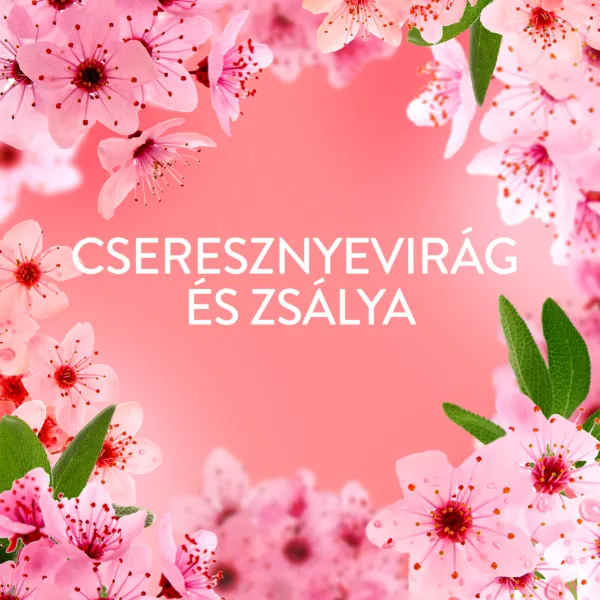 Lenor  Textilöblítő 32 Mosáshoz, Cherry Blossom & Sage termékhez kapcsolódó kép