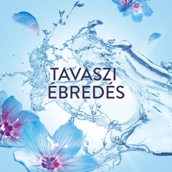 Lenor  Textilöblítő 38 Mosáshoz, Spring Awakening termékhez kapcsolódó kép