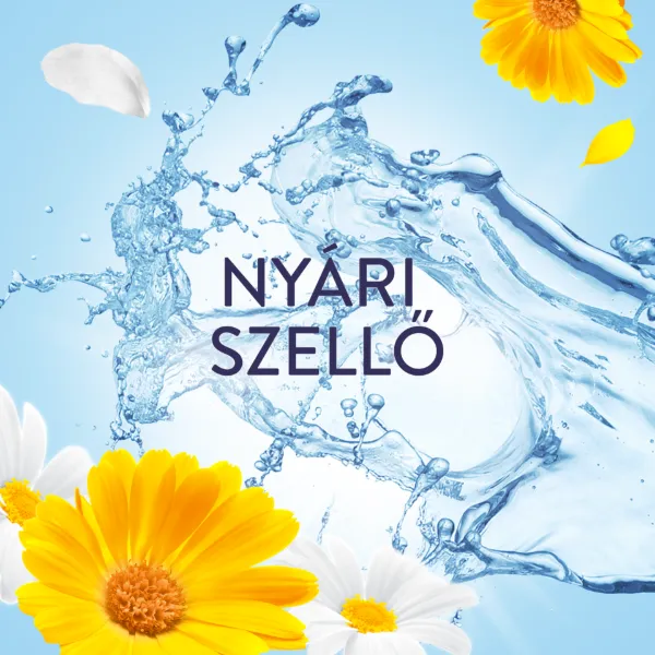 Lenor  Textilöblítő 71 Mosáshoz, Summer termékhez kapcsolódó kép