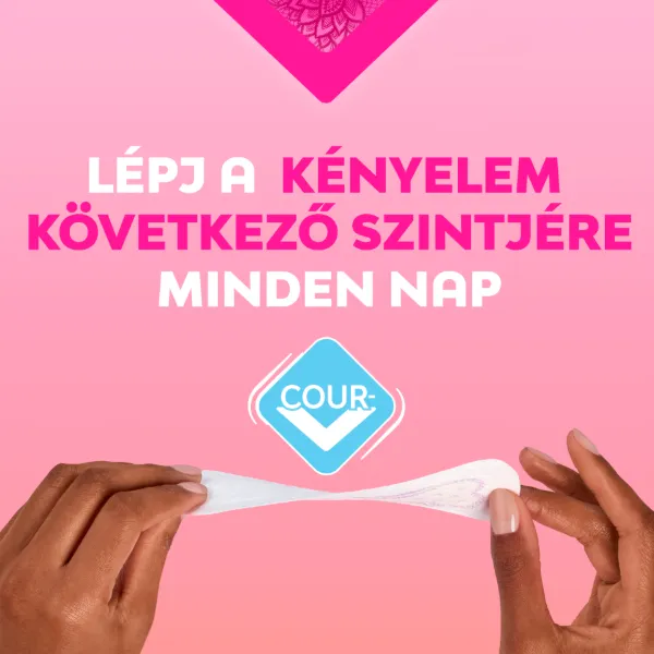 Libresse Dailies V-Protection & Freshness Regular tisztasági betét 58 db termékhez kapcsolódó kép