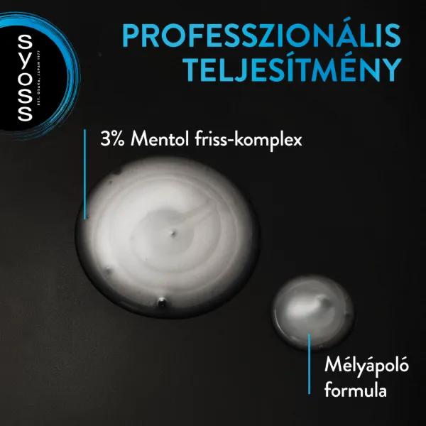 Syoss Men Intenzív Clean mélyápoló sampon 440 ml termékhez kapcsolódó kép