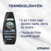 Schauma Deep Cleansing 3 az 1-ben mélytisztító sampon szénnel & agyaggal, hajra, arcra testre 400 ml termékhez kapcsolódó kép
