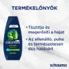Schauma férfi sampon B5 pro-vitaminnal & komló kivonattal, minden hajtípusra 400 ml termékhez kapcsolódó kép