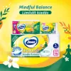 Zewa Deluxe Mindful Balance toalettpapír 3 rétegű 16 tekercs termékhez kapcsolódó kép