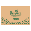 Pampers Premium Care Bugyipelenka, Méret: 4, 124 db Pelenka, 9kg-15kg termékhez kapcsolódó kép