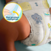 Pampers Premium Care Pelenka, Méret: 5, 160 db, 11kg-16kg termékhez kapcsolódó kép