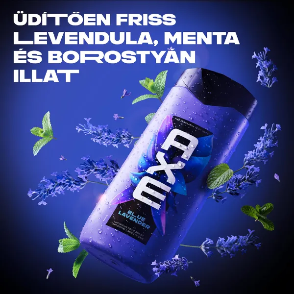 AXE Fine Fragrance Collection Blue Lavender tusfürdő 400 ml termékhez kapcsolódó kép