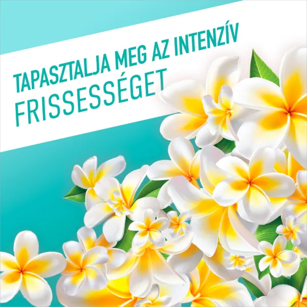 Ajax Flower Fiesta Lagoon Flowers Türkiz általános tisztítószer 1000 ml termékhez kapcsolódó kép