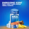 Gillette Sport Triumph Izzadásgátló Gél Férfiaknak, 70 ml termékhez kapcsolódó kép