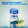 Gillette Eucalyptus Scent Izzadásgátló Hidratáló Gél Férfiaknak, 70 ml termékhez kapcsolódó kép