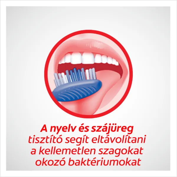 Colgate Premier Clean közepes fogkefe 1 db termékhez kapcsolódó kép